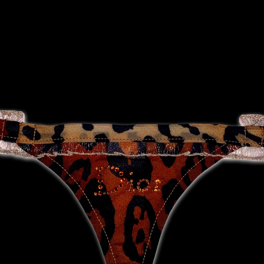 Dior John Galliano 2000s Archive Gambler Collection
Ombré Leopard Lingerie Set - Picture 14 of 16
